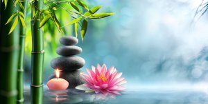 Elevation Med Spa Lone Tree Colorado stacked stones with bamboo lit candle and flower